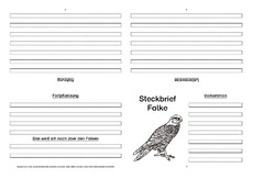Falke-Faltbuch-vierseitig.pdf